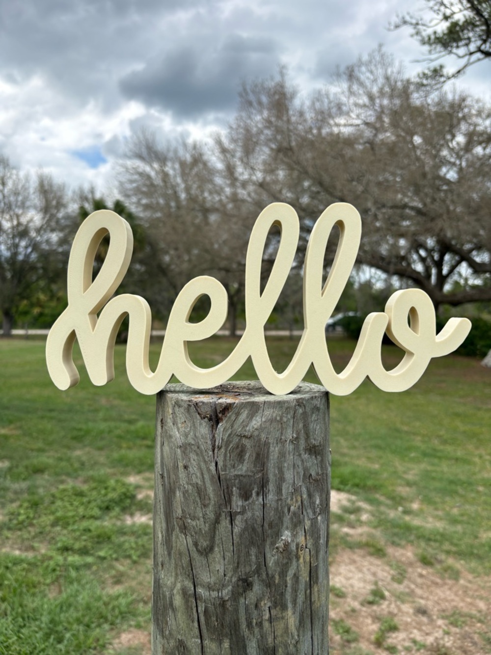 Hello script sign